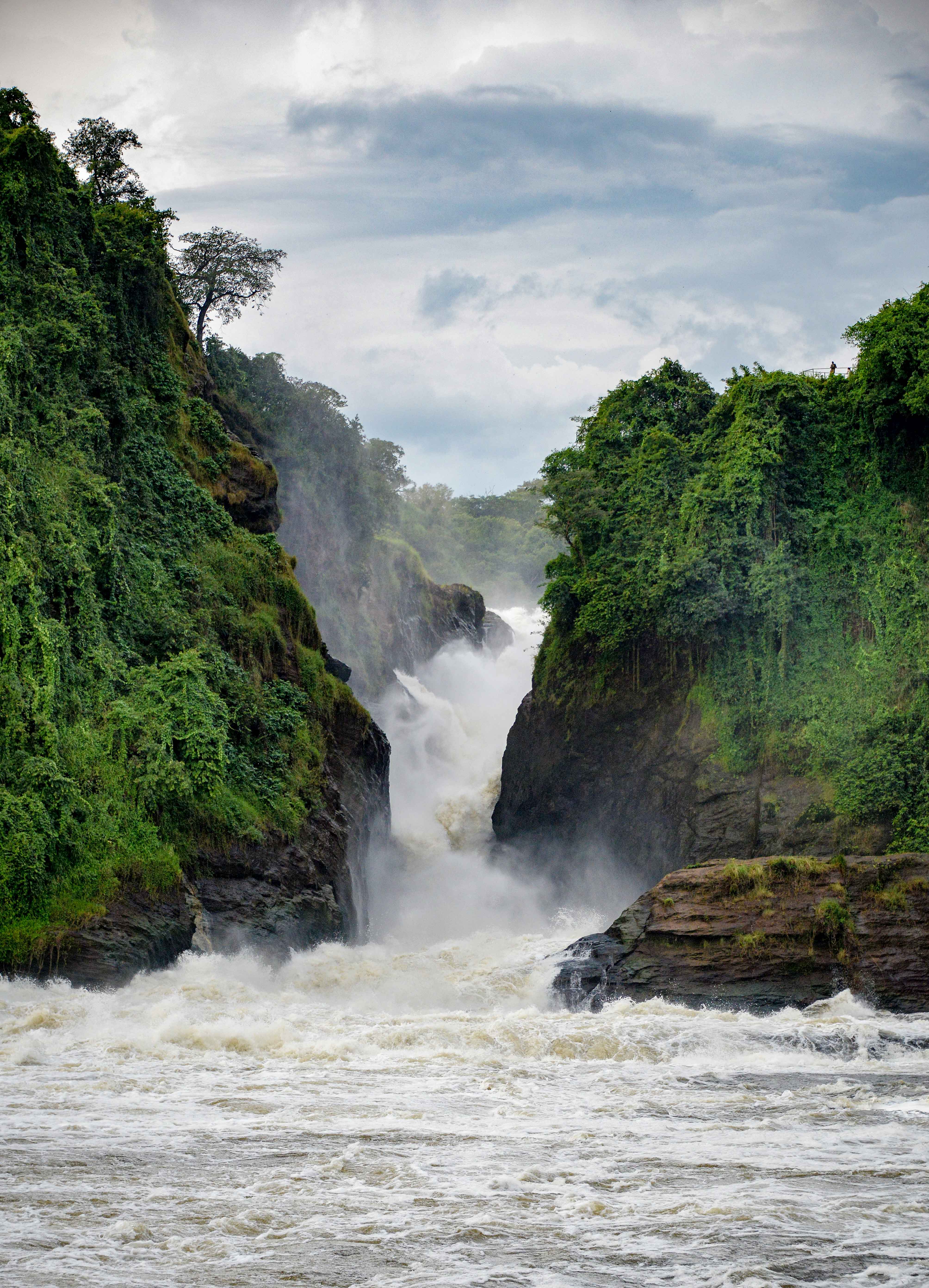 River safari landscape